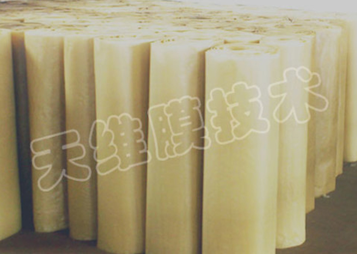 �������ɢ����Ĥ